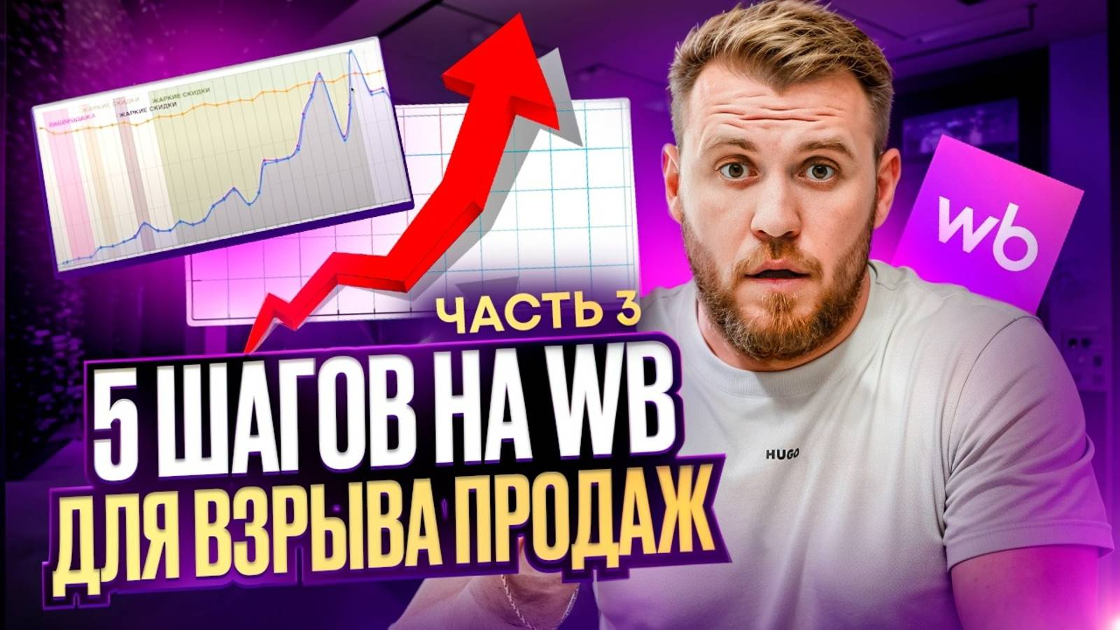 Как за 2 недели вывести товар в ТОП Wildberries? Схема на 2 млн рублей! Часть 3