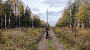 Лес на эндуро