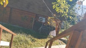 СОЧИ ГОРНОЕ ЛОО УТРО 06.10.2025