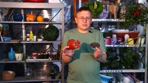 " У-дачный конетент" Выпуск №10.  Развиваемся на даче!