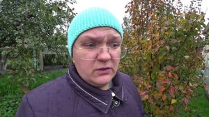 Обработка сада поздней осенью