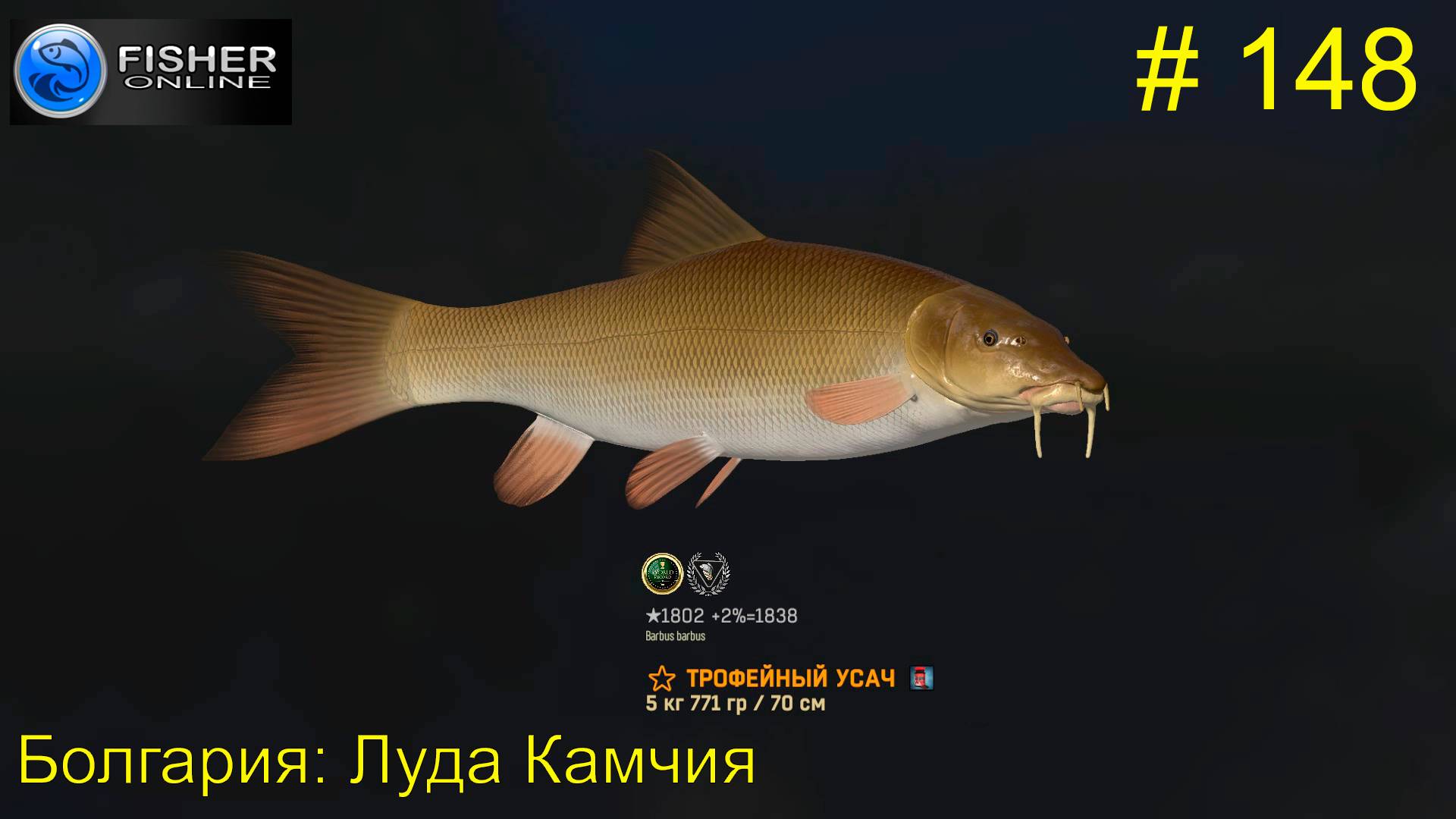 #148 Болгария:Луда Камчия ч13 Путь к серебру: усач, много крупного. Вылов уникального. Fisher Online