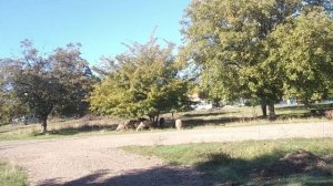 Иду домой болтаю ! Рассказала о здоровье мамы ! Юг России 🏝️