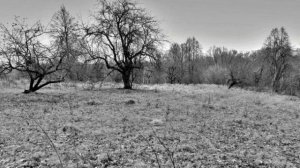 Минисборник Осень