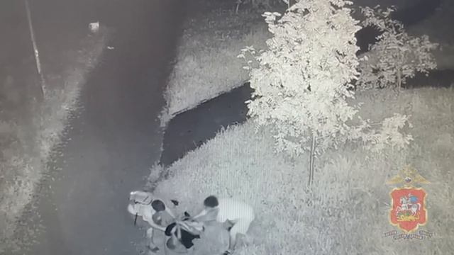 Полицейские из Чехова задержали двоих мужчин, подозреваемых в грабеже