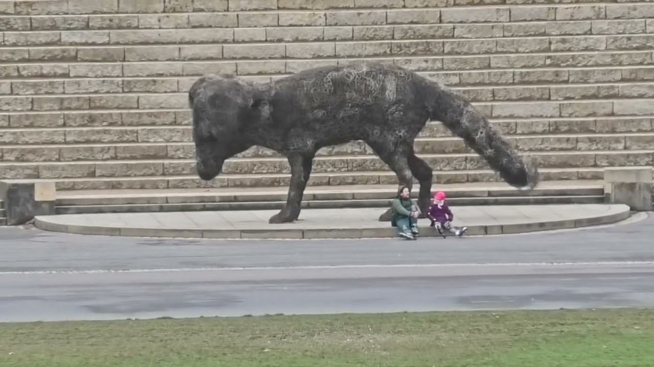 Германия, февраль 2023 год смотреть онлайн