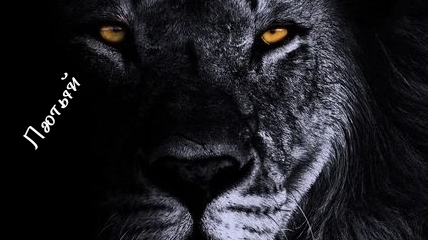 просто шпарю