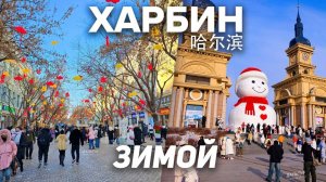 Туры в Харбин! ХАРБИН Гуляем Зимой! Туры в Харбин из Владивостока +7(964)44-44-144