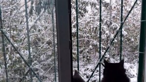 Погодка на улице.