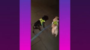 1000508295.mp4
