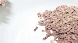 Начинка из легких