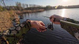 День четвертый. Продолжаем ловить судака на воблеры. Судак начал капризничать.