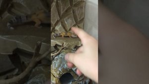 Фотосессия для Юни!