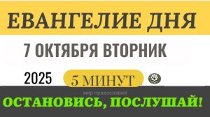 7 октября вторник Евангелие дня 2025 с толкованием #евангелие (5 минут)