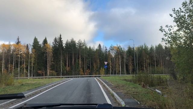 Едем в лес