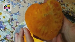 Сравниваю по вкусу томаты Завтрак Келлога и Мери Робинсон