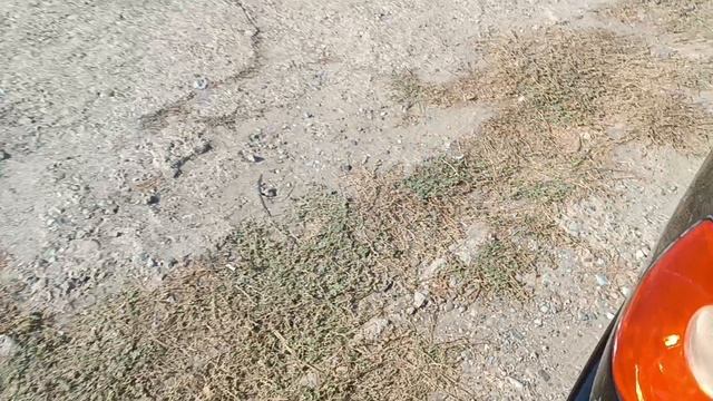 cherryamulet.mp4 смотреть онлайн