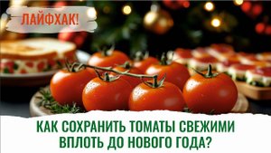 Новый год, ёлка и томаты! Эксперт Елена Храмушина делится секретами