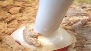 Крем-суп из курицы