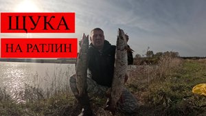 ОСЕННЯ ЩУКА НА РАТЛИН. ПОЙМАЛ ТРОФЕЙ.