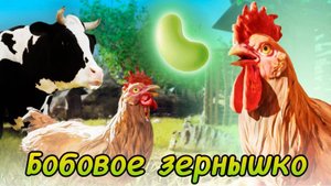 Русские народные сказки Петушок и бобовое зернышко. #сказки