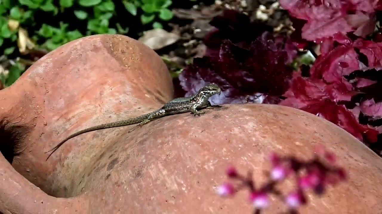 Север Италии 2. Ultra HD 4К смотреть онлайн