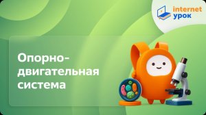 Опорно-двигательная система. Видеоурок по биологии 7 класс