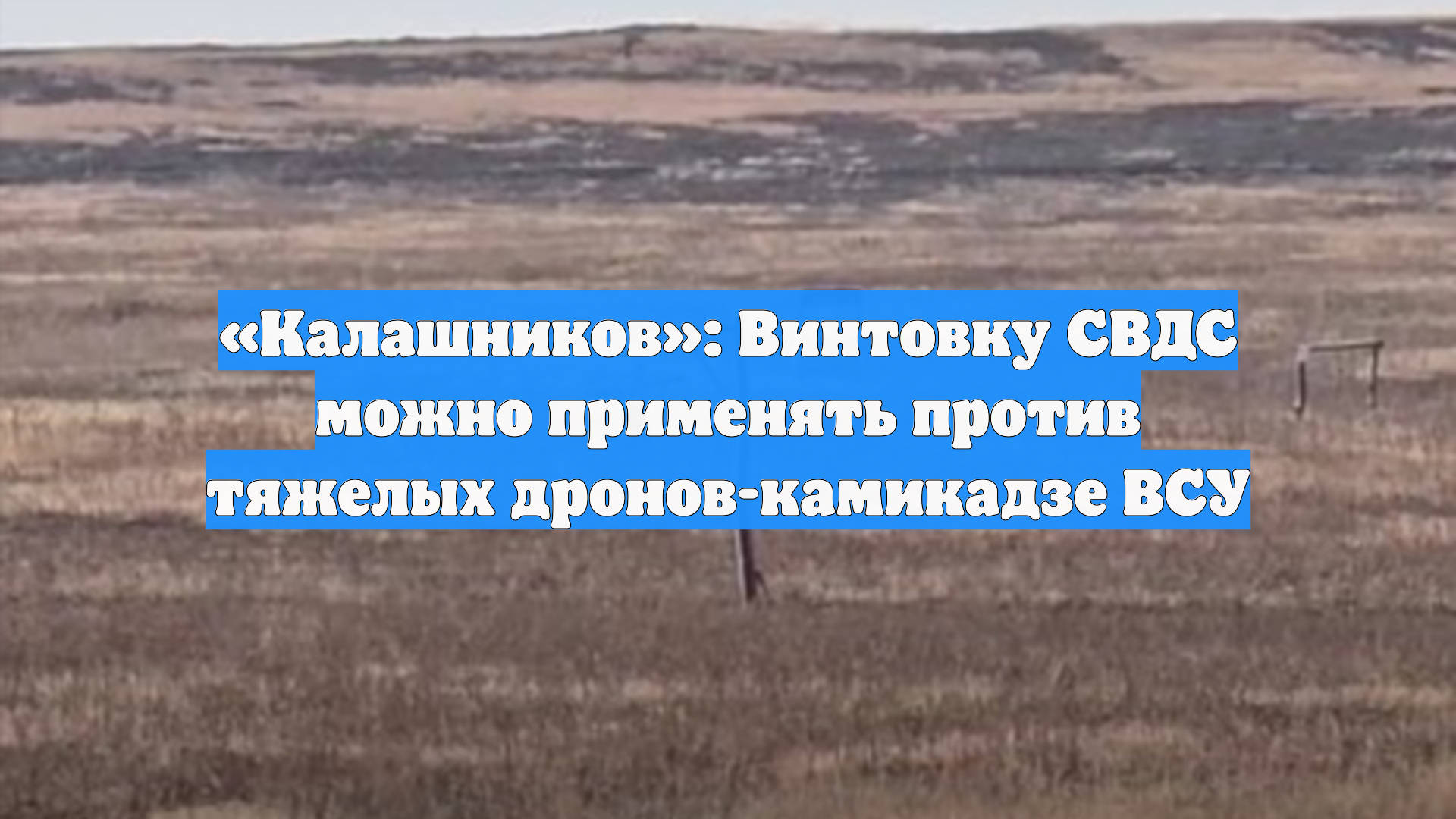 «Калашников»: Винтовку СВДС можно применять против тяжелых дронов-камикадзе ВСУ