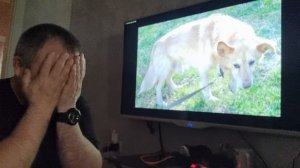 Тебя со мною рядом нет