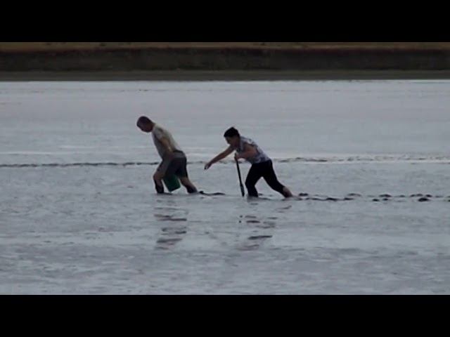 За солью 2018 год смотреть онлайн