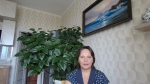 Куда без женщин?