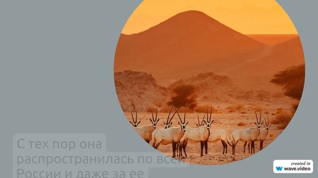 Узнайте все о происхождении и значении фамилии Арбузова: история, склонение и интересные факты