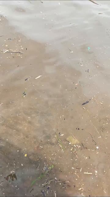 Выпускаю рыбу.