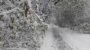 Новосибирск сегодня. Заснеженный Новосибирск. Снегопад в Новосибирске