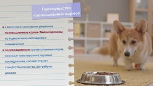 Почему корм называется полнорационным?