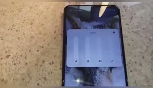 СТРАННОЕ ПРИКЛЮЧЕНИЕ