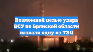 Возможной целью удара ВСУ по Брянской области назвали одну из ТЭЦ