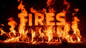 Пожары любви