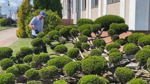 Сергей Сологуб в деле