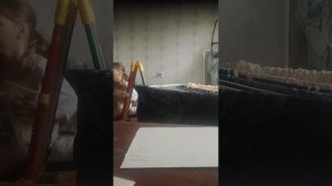 пладпл