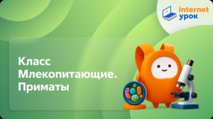 Класс Млекопитающие. Приматы. Видеоурок по биологии 7 класс
