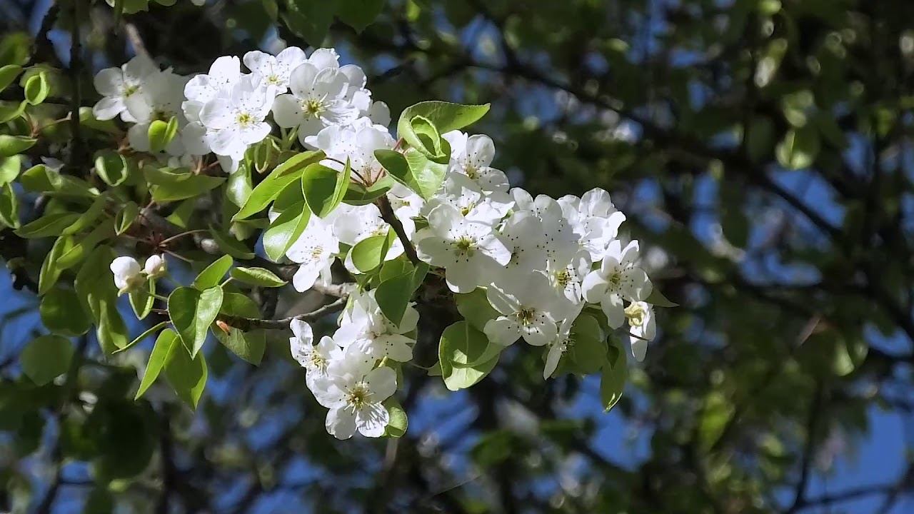 12 Апреля 2020г смотреть онлайн