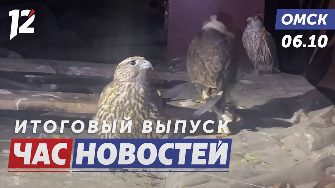 Спасение редких птиц / Криптомайнинг за счет соседей / Многодетные получают участки. Новости Омска