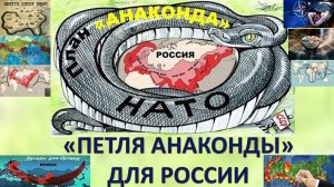 Каковы истинные причины начала СВО