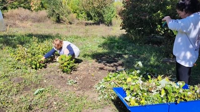 КАК Я РАДА ЕЕ ПРИЕЗДУ🥰