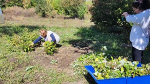 КАК Я РАДА ЕЕ ПРИЕЗДУ🥰