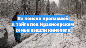На поиски пропавшей в тайге под Красноярском семьи вышли кинологи