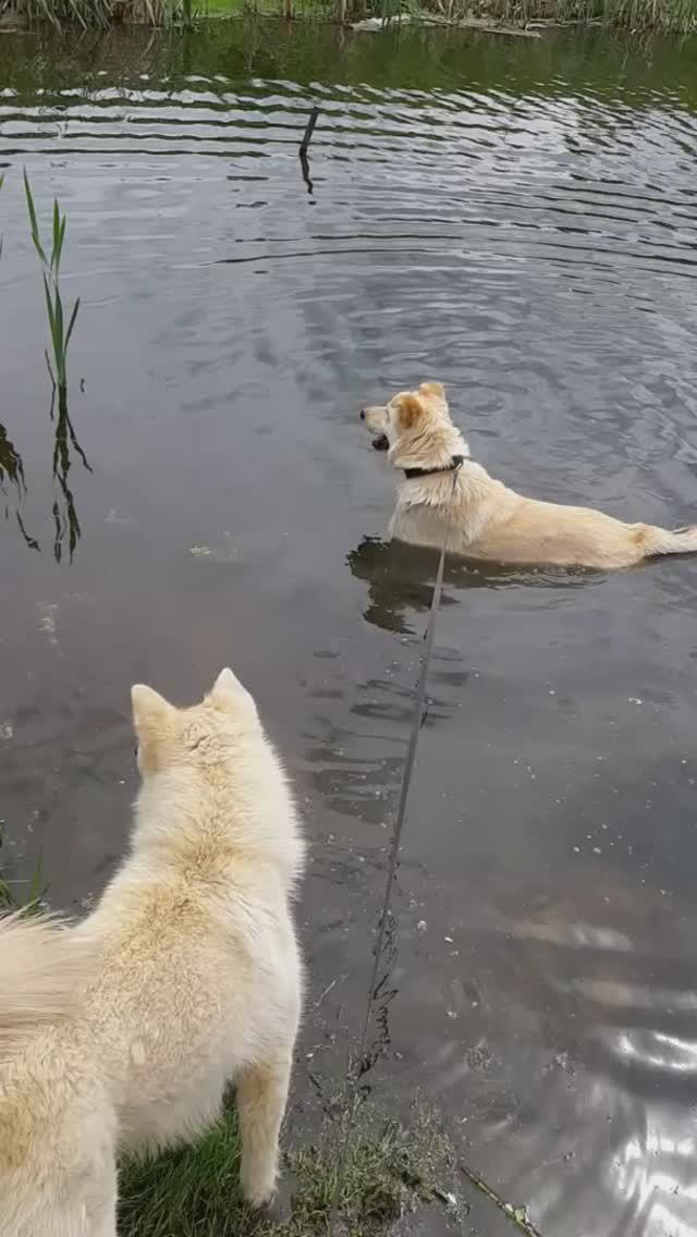 Водные процедуры. смотреть онлайн