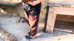 МЫ ТАКОГО НЕ ОЖИДАЛИ! Люська между папой и Тосей, выбрала Тосю и даже КИНУЛАСЬ НА ПАПУ!