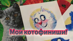 Мои котофиниши!
